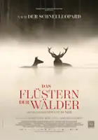 plakat filmu Pieśni lasu