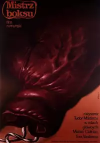 Plakat filmu Mistrz boksu