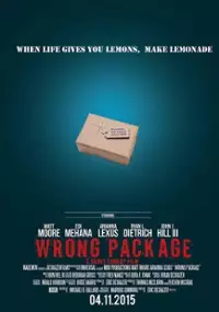 Plakat filmu Wrong Package
