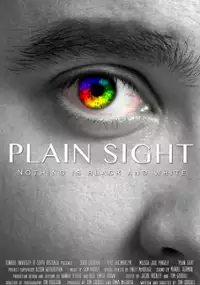 Plakat filmu Plain Sight