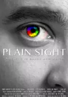 plakat filmu Plain Sight