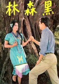 Plakat filmu Hei sen lin
