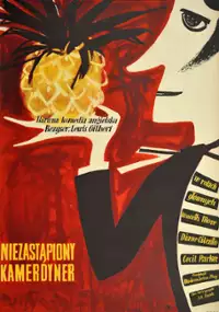 Plakat filmu Niezastąpiony kamerdyner