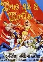 plakat filmu True as a Turtle