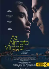 Plakat filmu Kwiat jabłoni