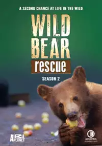 Plakat serialu Ocalić niedźwiadki