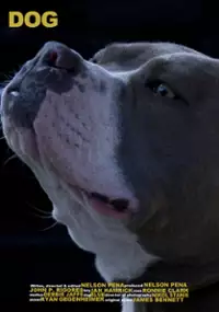 Plakat filmu Dog