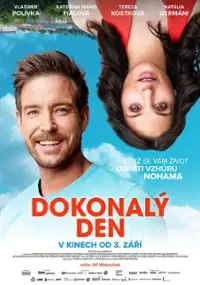 Plakat filmu Dokonal&yacute; den
