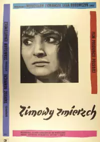 Plakat filmu Zimowy zmierzch