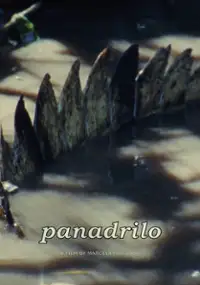 Plakat filmu Panadrilo