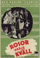 plakat filmu Rosor varje kväll