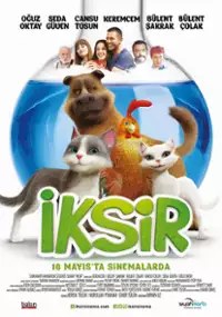 Plakat filmu Czarodziejski eliksir