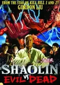 Plakat filmu Shao Lin Jiang Shi
