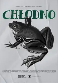 Plakat filmu Chłodno