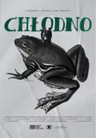 plakat filmuChłodno