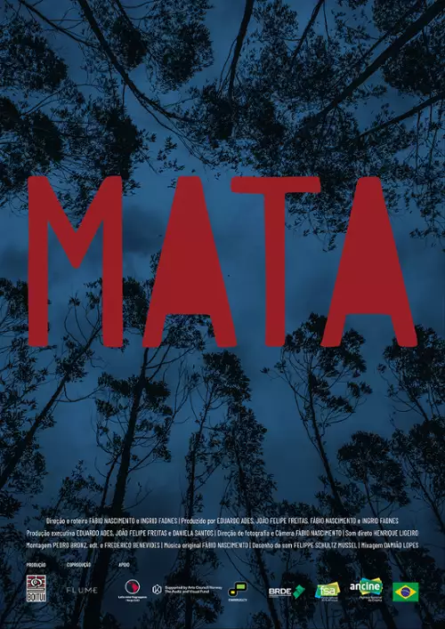 plakat filmu Mata