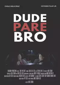 Plakat filmu Dude pare bro
