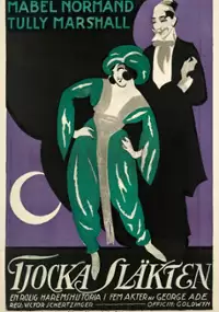 Plakat filmu The Slim Princess