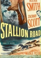 plakat filmu Stallion Road