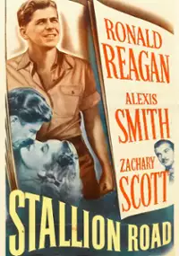 Plakat filmu Rancho