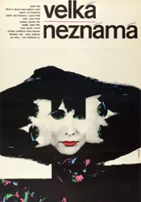 Plakat filmu Velká neznámá