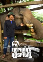 plakat filmu Szpital dla słoni