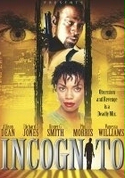 plakat filmu Incognito