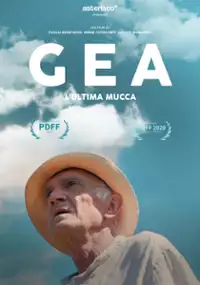 Plakat filmu Prawdziwa historia największej gry w chowanego na świecie