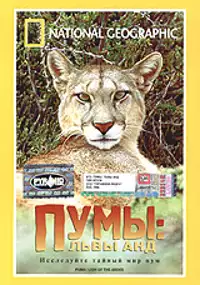 Plakat filmu Puma: Lion of the Andes