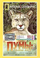 Jill Garrett / Puma: Lion of the Andes