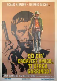 Plakat filmu Abre tu fosa amigo... llega Sábata