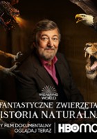 plakat filmu Fantastyczne zwierzęta: Historia naturalna