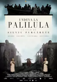 Plakat filmu Gdzieś w Paliluli