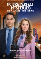 plakat filmu Picture Perfect Mysteries: Newlywed and Dead