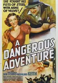 Plakat filmu A Dangerous Adventure
