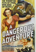 plakat filmu A Dangerous Adventure