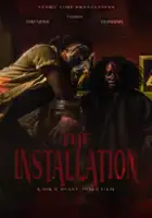 Tristin Fazekas / The Installation