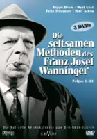 plakat serialu Die Seltsamen Methoden des Franz Josef Wanninger