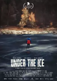 Plakat filmu Pod lodem