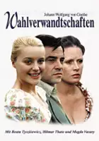 plakat filmu Powinowactwa z wyboru