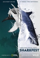 plakat filmu Człowiek kontra rekin
