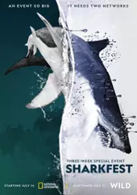 Plakat filmu Człowiek kontra rekin