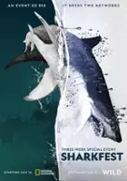 plakat filmu Człowiek kontra rekin