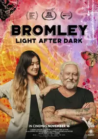 Plakat filmu Bromley: Light After Dark