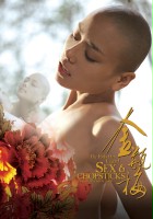 plakat filmu Jin Ping Mei