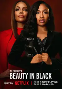 Plakat serialu Tyler Perry's Beauty in Black