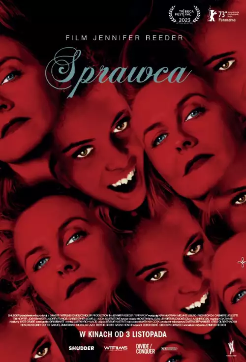 plakat filmu Sprawca