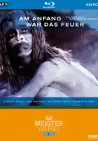 plakat filmu Walka o ogień