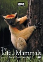 plakat filmu Życie ssaków