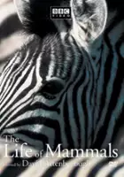 plakat serialu Życie ssak&oacute;w